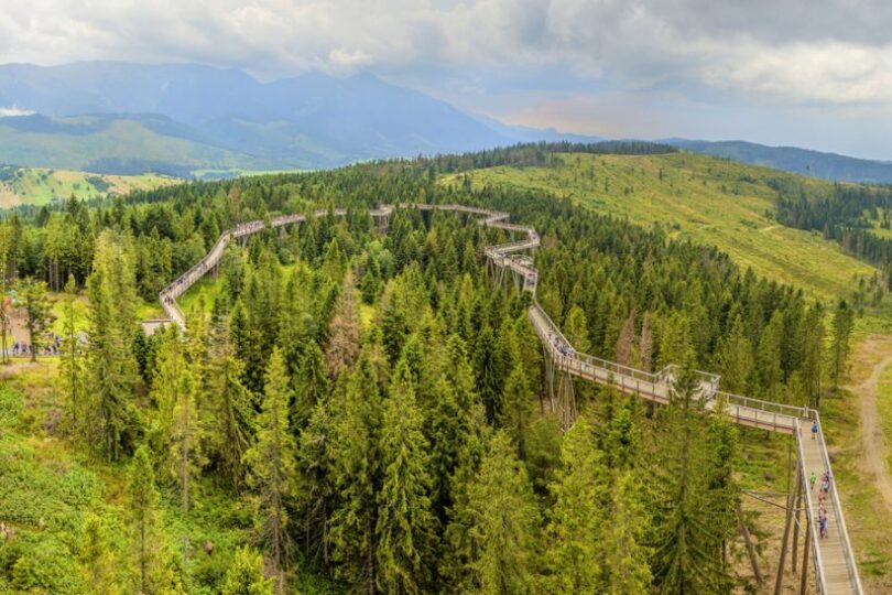 Bachledova dolina - chodník korunami stromov