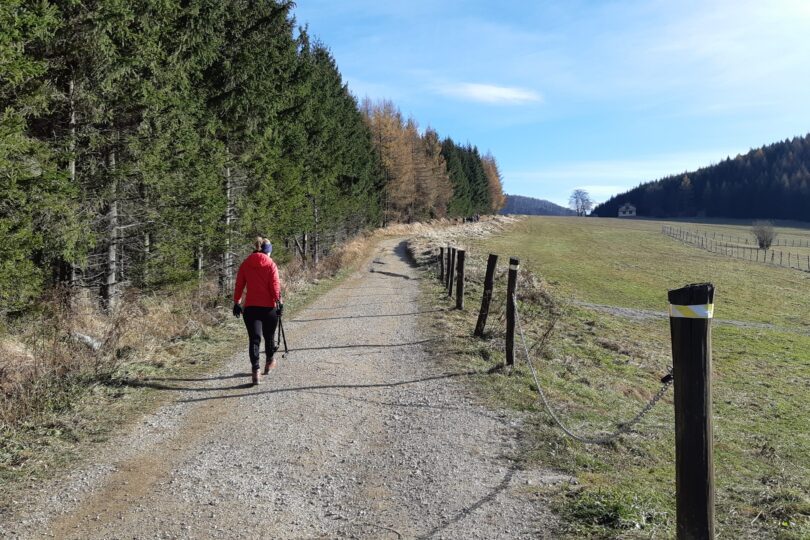 Kľak z Fačkovského sedla