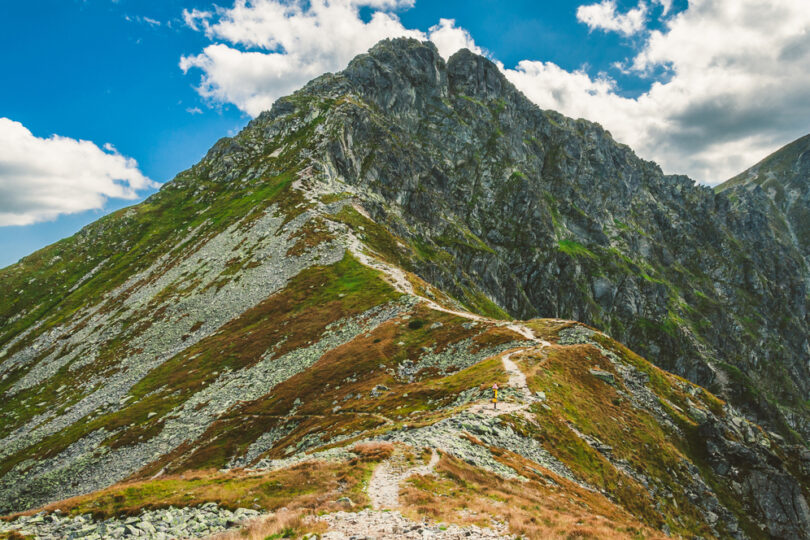 Roháčska hrebeňovka (Ostrý Roháč, Volovec, Rákoň)