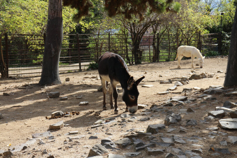 ZOO Bojnice