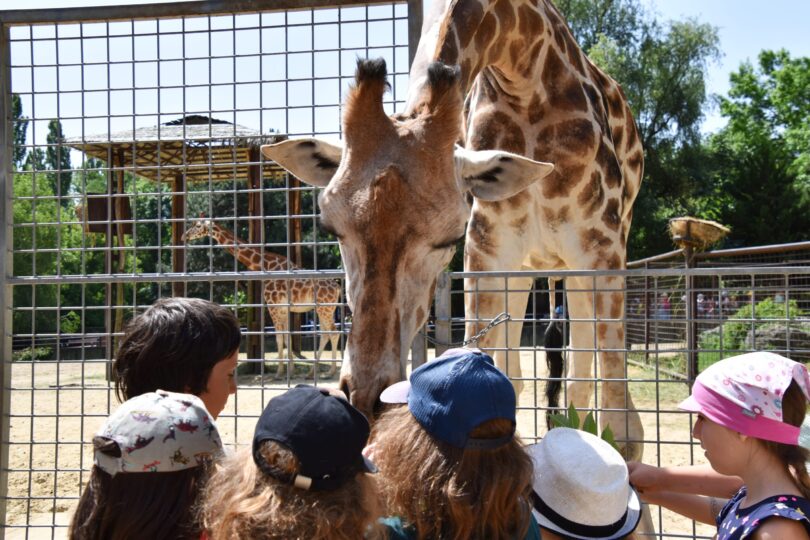 ZOO Bratislava