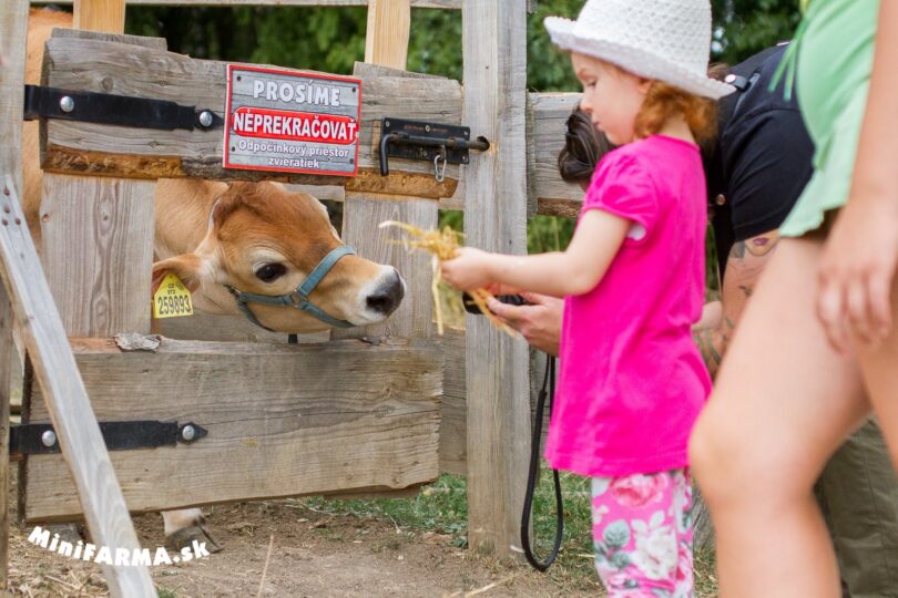 FARMAPARK LUBINA ⭐ Kontaktná mini ZOO | Turisticky.sk