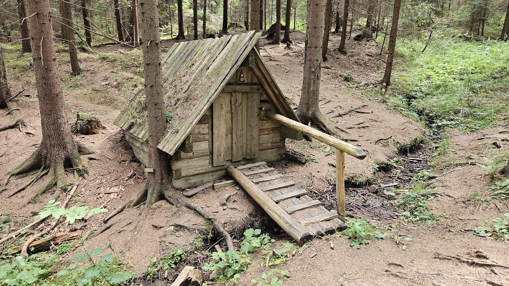 Lesnícky náučný chodník Oravská Lesná