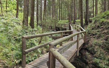 Lesnícky náučný chodník Oravská Lesná