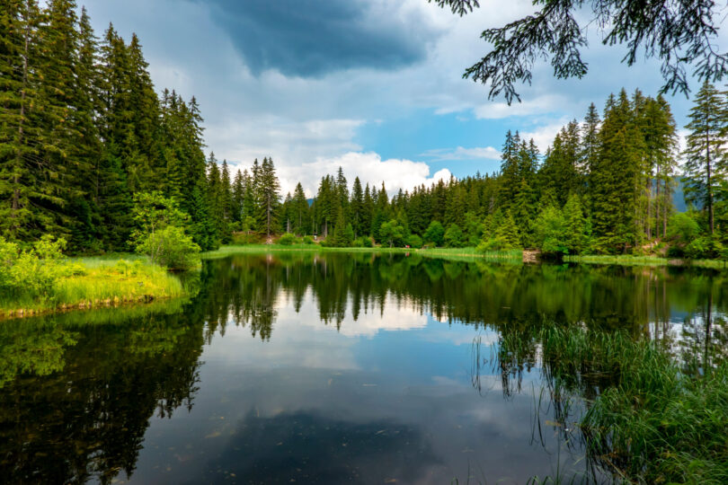 Vrbické pleso