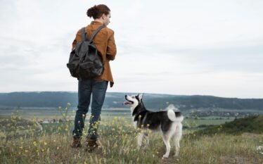 Ako kŕmiť psa na dlhšej turistike