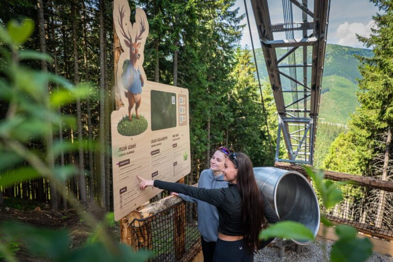 Slide Park Jasná: 7 toboganov a náučný chodník Medveďa Maxa